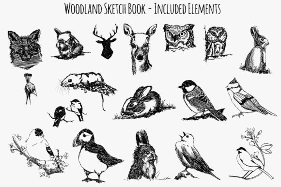 Download Woodland Sketch Book - Book Collection